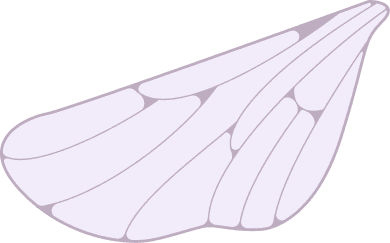 Butterfly Bottom Left