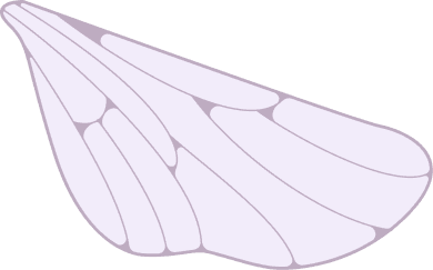 Butterfly Bottom Right